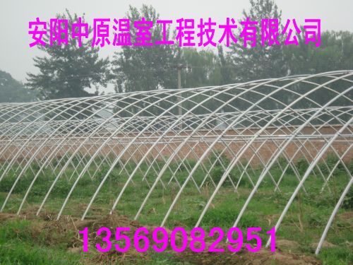 ֲ߲ǼֹܸܴܶǼܻԭҹ