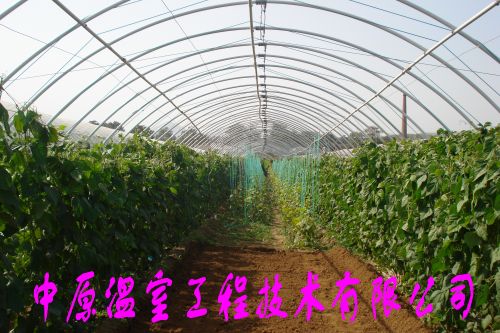 ҴǼֹܸܶܿѹ֧ԭҹ