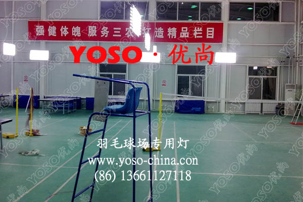 羽毛球比赛地板,羽毛球塑胶地板厂家,羽毛球比赛场地地板,羽毛球运动地胶