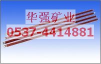 B19(B19)