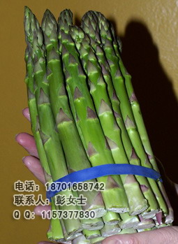 «߲«ӱ˶ַչо