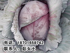 ϸձƷ