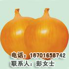 ,ƤƷֻӭѡ