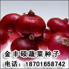 츣ӱ˶ܲӭĲιѡӼ۸