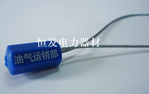ʩ