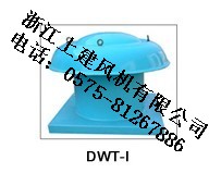 DWTݶ