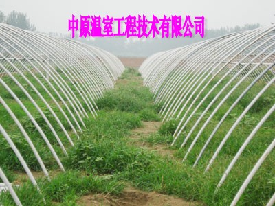 ϲչҴǼֳ֧ԭҹ