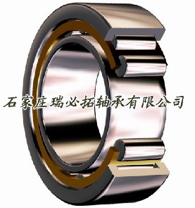 N318MNSK进口圆柱滚子轴承郭B3