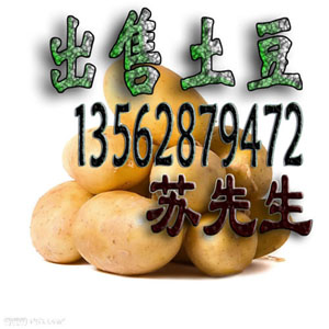 Ӧڳ۴ͼ