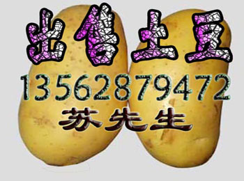 ڳ۴ͼ