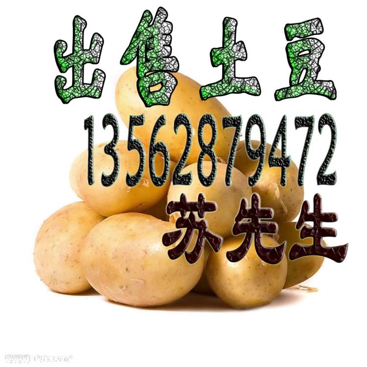 Ӧ
