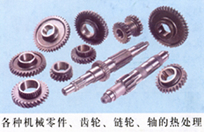豸