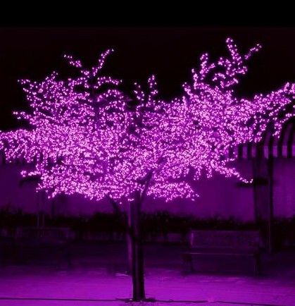 LEDLED
