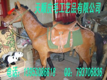 ˳ƤëƷ޹˾