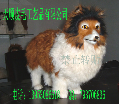˳ƤëƷ޹˾