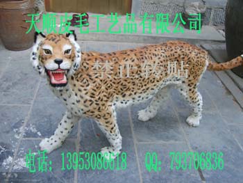 ˳ƤëƷ޹˾