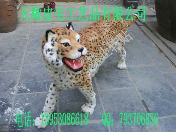 ˳ƤëƷ޹˾