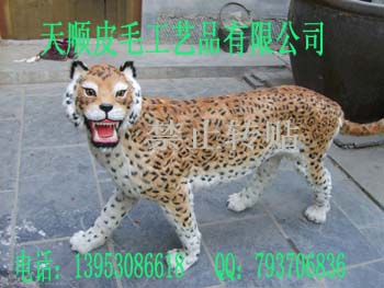 ˳ƤëƷ޹˾