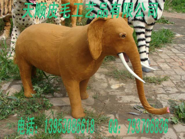 ˳ƤëƷ޹˾