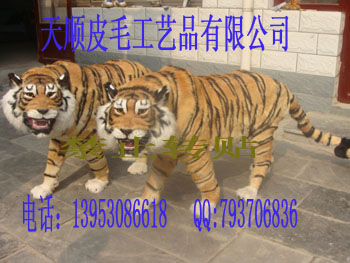 ˳ƤëƷ޹˾