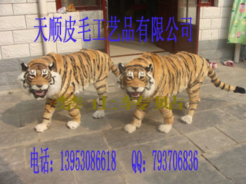 ʨϻʨʨ