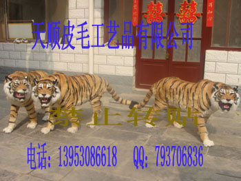 ʨϻʨʨ