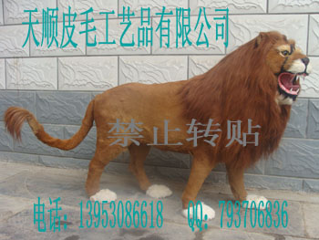 ʨϻʨʨ