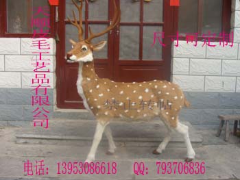 ʨϻʨʨ