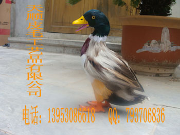 ˳ƤëƷ޹˾