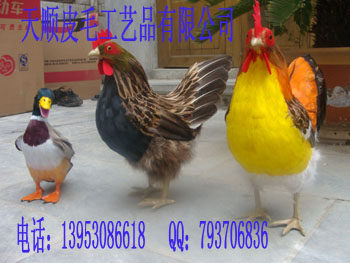 ˳ƤëƷ޹˾