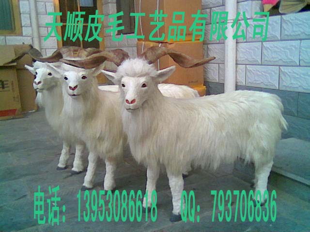 ˳ƤëƷ޹˾