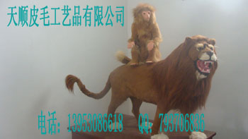 ˳ƤëƷ޹˾