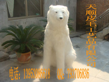 ˳޹˾