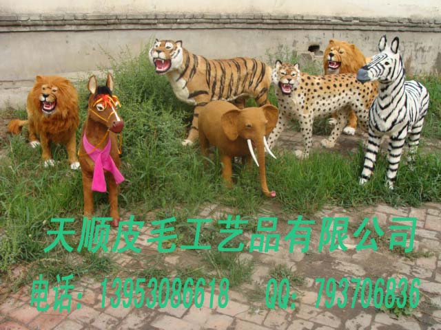 ˳޹˾
