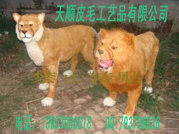 ˳޹˾
