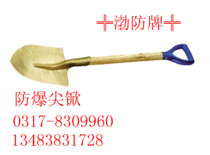 Ƿ13483831728