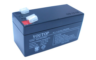 ӦǦ(12V1.3AH)