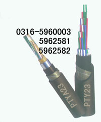 ֶPTYA22·³ңֶ·¼۸ֶ·