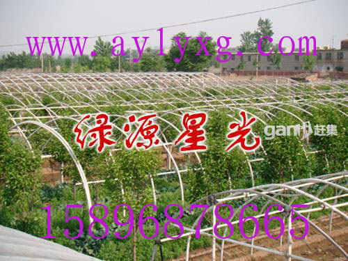 ҴǼֳܻ߲˴Ǽܻ