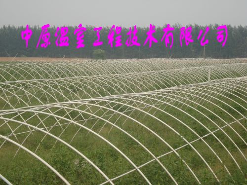 ϻҴǼֳֹܸ֧ܶԭҹ
