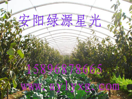 չҴǼܻϴﰲԴǹ