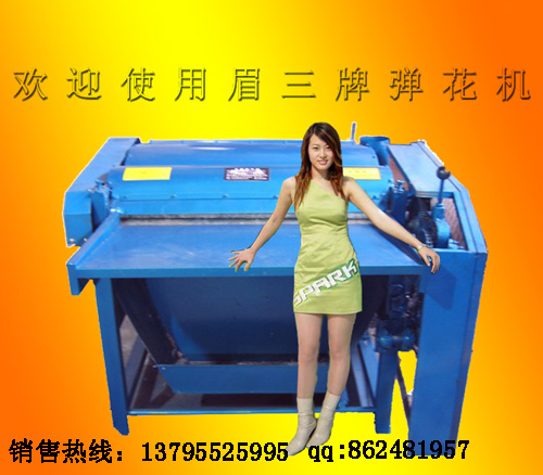 80101160ϸ186޻