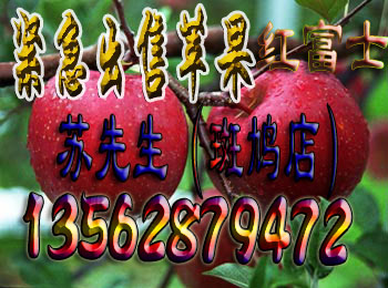 Ӧһԭؼ츻ʿƻ