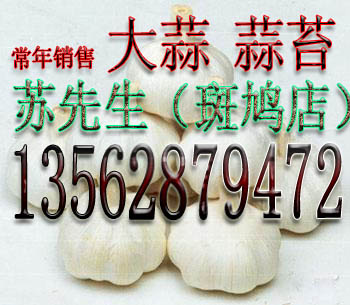414Ű꼱ʴ±