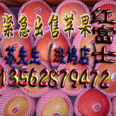 Ӧһԭؼ츻ʿƻ