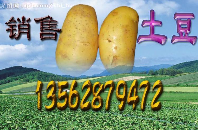 ۴