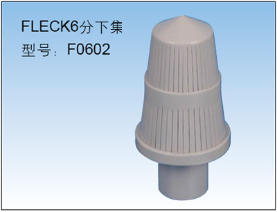 FLECK¼ɢˮ