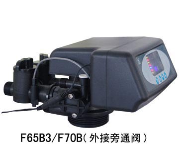 ๦ܿƷԶF65B3F70B