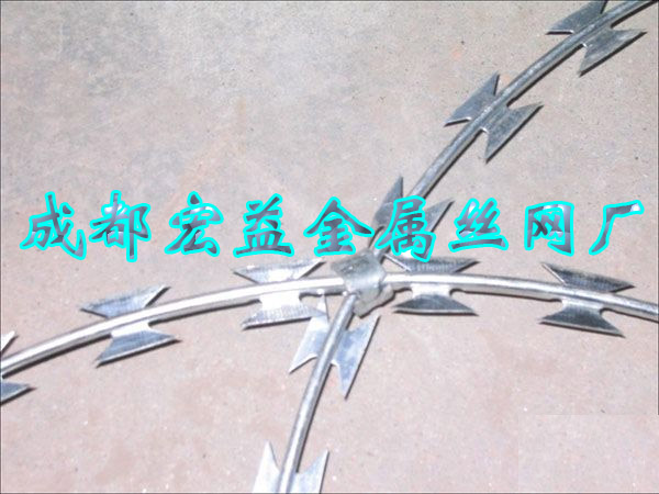 ɶƬɶƬɶ