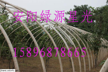߲˴Ǽֳ֧ܻԴǹ